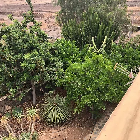 Vereda De Las Camellas Gæstehus Puerto del Rosario (Fuerteventura)