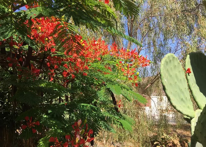 Vereda De Las Camellas Casa de hóspedes