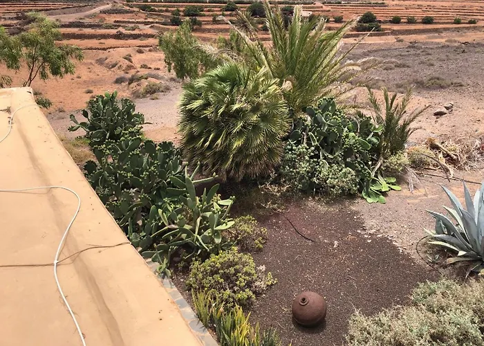 Vereda De Las Camellas 3* Puerto del Rosario (Fuerteventura)