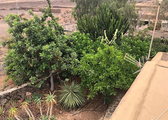 Vereda De Las Camellas Casa de hóspedes Puerto del Rosario (Fuerteventura)