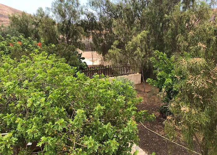 Vereda De Las Camellas 3* Puerto del Rosario (Fuerteventura)