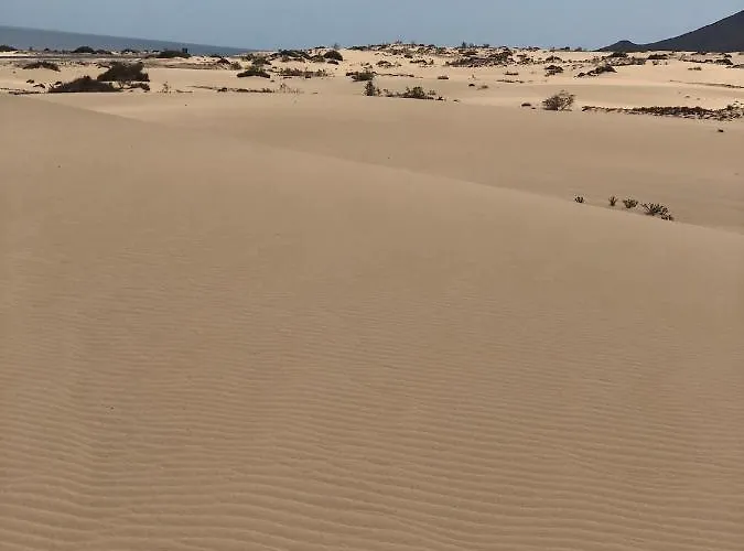 Casa de hóspedes Vereda De Las Camellas