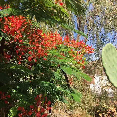 Vereda De Las Camellas Pensión
