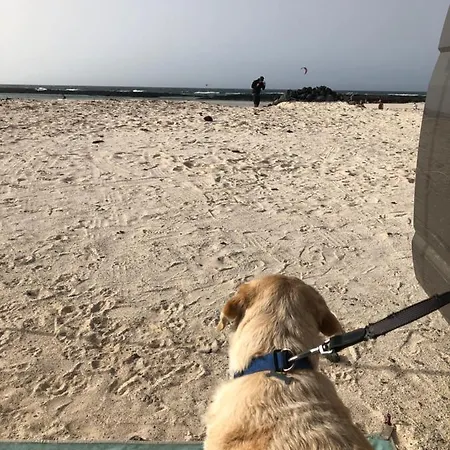 Vereda De Las Camellas 푸에르토델로사리오